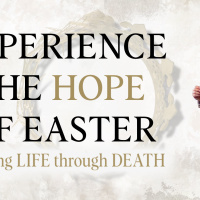 Finding LIFE Through DEATH