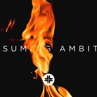 Consuming Ambition [Week 2]