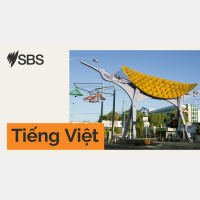 Bản tin tối 18-11-2025