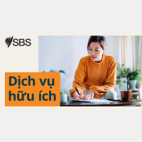 Dịch vụ hữu ích: Những dịch vụ người dân cần biết khi đối mặt bạo lực gia đình