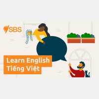 #100 More or less? Talking about quantities - #100 More or less? Talking about quantities