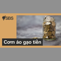 Cơm áo gạo tiền: Xây dựng mạng lưới quan hệ chất lượng, một tài sản vô hình, giá trị hơn tiền bạc