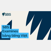 ‘Everyone wants to matter’: How we can prevent hate and division in our neighbourhoods - SBS Examines: “Ai cũng muốn được coi trọng: Xây dựng cộng đồng gắn kết