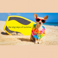 Dog Days of Summer: Drifters - Audio