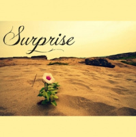 Surprise on You - Audio