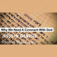 Genesis 6:1-22 - WHY WE NEED A COVENANT WITH GOD