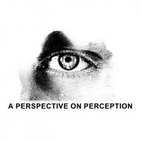 Matthew 6:19-34 - A PERSPECTIVE ON PERCEPTION
