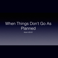 WHEN THINGS DONT GO AS PLANNED - Bill Leckie
