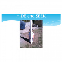 HIDE AND SEEK - Jeff Farris