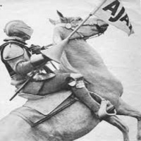 Episode 29 - The White Knight