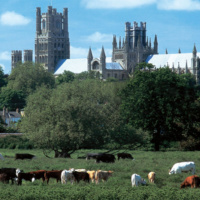 3.2 The Fens - Home to Monsters and Hermits