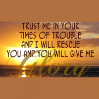 Stop Trying...Just Trust Me - Audio