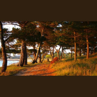 Changing Seasons - Audio