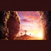 Video Sermon: The Reality of the Resurrection - Audio