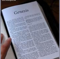 Confidence...or Puffed Up? - Audio