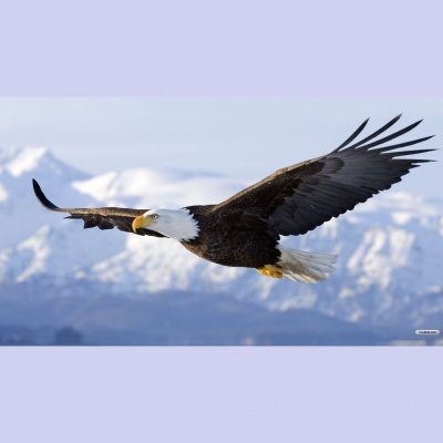 Genesis One Christian Ministries Sermons