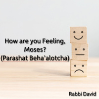 How are you Feeling, Moses? (Parshat Behaalotcha) | Rabbi David