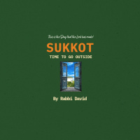 Time to Go Outside: Sukkot | Rabbi David