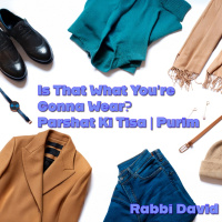 Is That What Youre Gonna Wear? (Parshat Ki Tisa | Purim) | Rabbi David