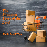 The Shopping Spree of the Lord | Rabbi David Wein