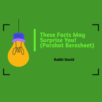 These Facts May Suprise You! | Rabbi David