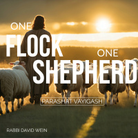 One Flock, One Shepherd (Parashat Vayigash) | Rabbi David Wein