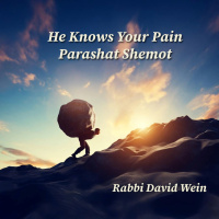 He Knows Your Pain (Parashat Shemot) | Rabbi David Wein