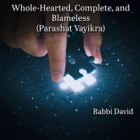 Whole-Hearted, Complete, and Blameless (Parashat Vayikra) | Rabbi David
