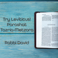 Try Leviticus! Parashat Tazria-Metzora | Rabbi David