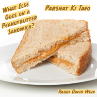 What Goes Best With a Peanut Butter Sandwich? Prashat Ki Tavo | Rabbi David Wein