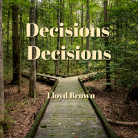 Decisions Decisions | Lloyd Brown