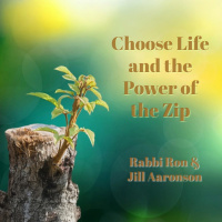 Choose life and the Power of the Zip | Rabbi Ron  Jill Aaronson