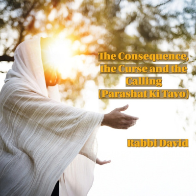 Tikvat Israel Sermons