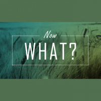 Now What? (Audio)