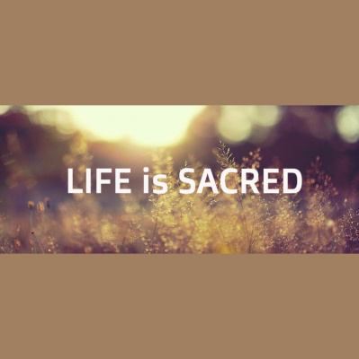 Life Church | Salisbury Nc Sermons