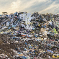 [Peter Carolane] 1 Corinthians: Whose virtue are you signalling? (1 Corinthians 4:6-21) 21.03.21