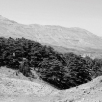 [Peter Carolane] Good and Bad Shepherds (Jeremiah 23.1-8) 17.03.19