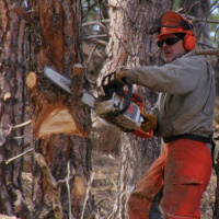 [Peter Carolane] Crossing the Aisle: Judgment (Matt 5:38-39, 43-48, 7:1-6) 11.08.19