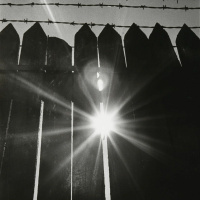 [Patrick Senn] Darkness and Light (Rom 13:8-14 Matt 21:1-13) 27.11.22 Clifton Hill