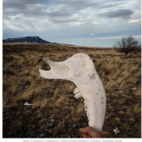 [Peter Carolane] Samson: Sex and Violence (Judges 15-16)19.05.19