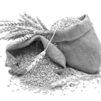 [Rob Miller] How To Be Wealthy And Wise (Luke 12:13 - 21)