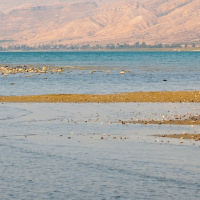 [Peter Carolane] How can the Messiah come from Galilee? (John 7.25-53) 09.02.20