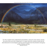 [Peter Carolane] Groaning for Heaven (Romans 8:18-30)30.06.19