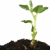 [Patrick Senn] John: The Hour Has Come (John 12:30-36) 04.07.21