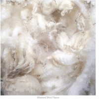 [Beck Miller] Gideon: Victory for Weakling (Judges 6:1-40)12.05.19