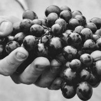 [Beck M] The Power to Make Things New (Matthew 9) 02.03.2025