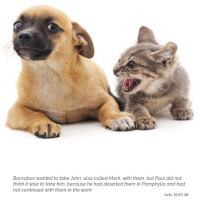 [Peter Carolane] Crossing the Aisle: Mess (Acts 15) 25.08.19