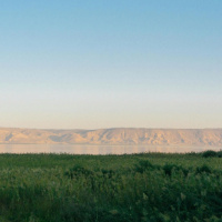 [Peter Carolane] Psalm 100 11.03.24