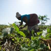 [Jo Knight] Justice: Caring for Gods World (Colossians 1.15-20) 26.04.20