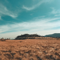 [Beck Miller] Psalm 103 24.11.24